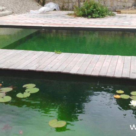 Gite Les Cabanes De Fallot Pour 15 Personnes - Piscine Naturelle L'isle-Bouzon Exterior foto