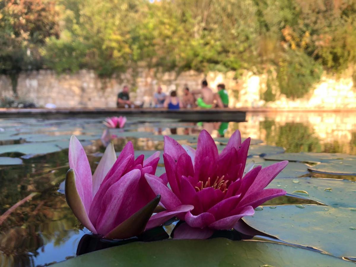 Gite Les Cabanes De Fallot Pour 15 Personnes - Piscine Naturelle L'isle-Bouzon Exterior foto
